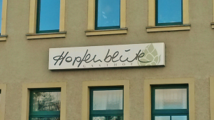Hopfenblüte in Freital