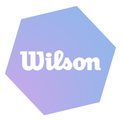Ansicht der Referenz „Display & Social Ads Kampagne für Wilson“