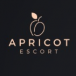 Firmenansicht von „Apricot Escort Cologne“